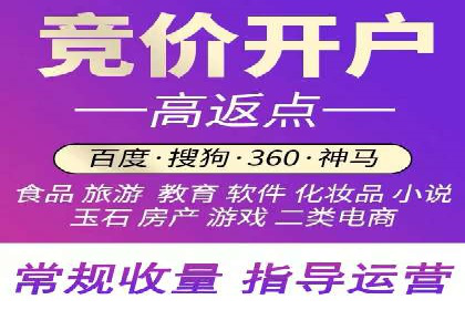 竞价广告策略案例分析